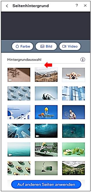 03 Website Dresign   Design ändern   Seitenhintergrund